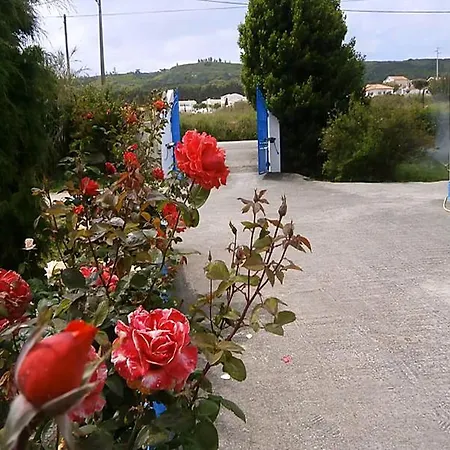 Typischste Region Portugals * Nazare